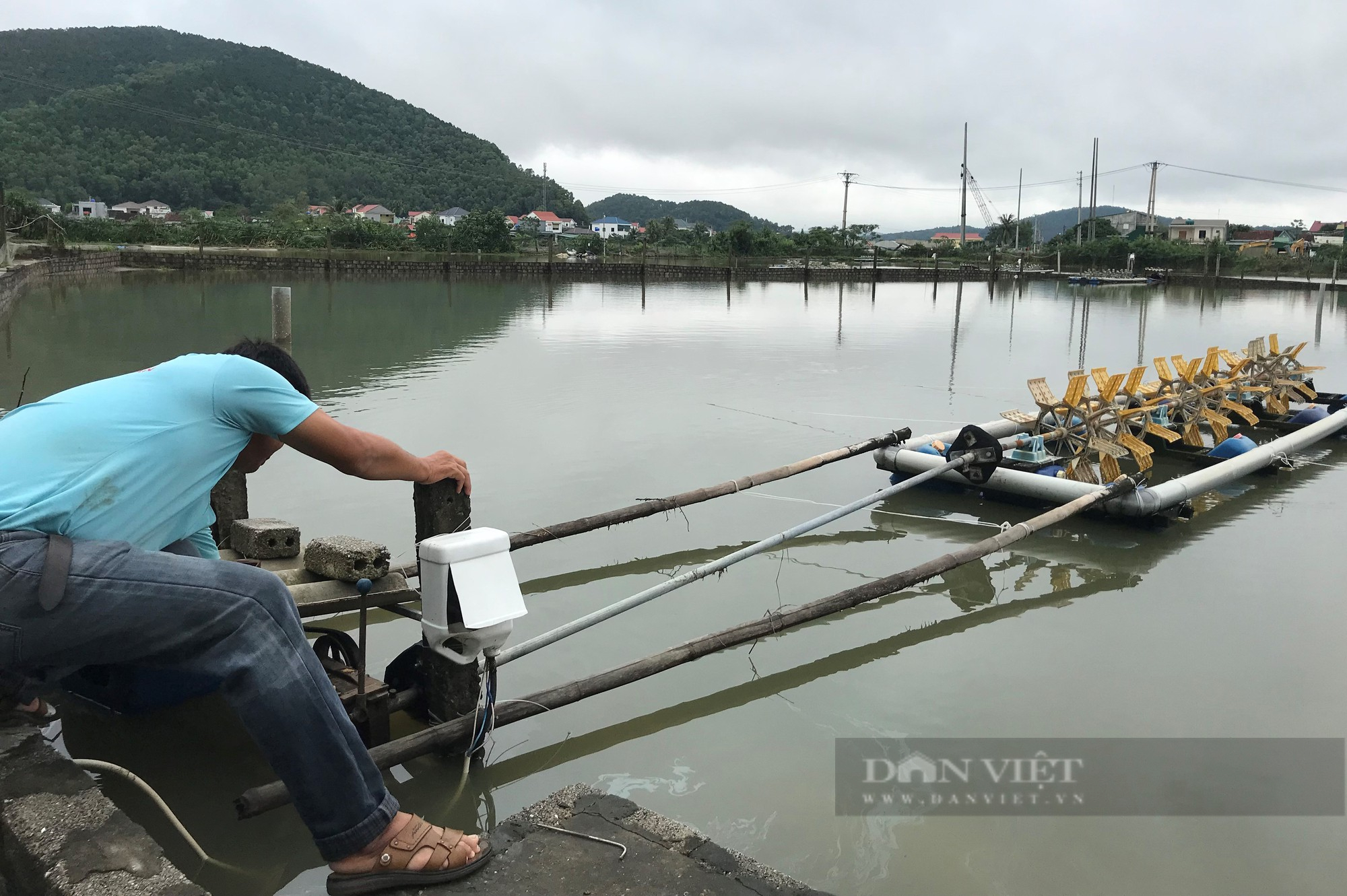 Mưa lớn nước dâng nhanh, nhiều hồ nuôi tôm ở Nghệ An ngập trắng, có nhà mất 500 triệu sau một đêm - Ảnh 3.