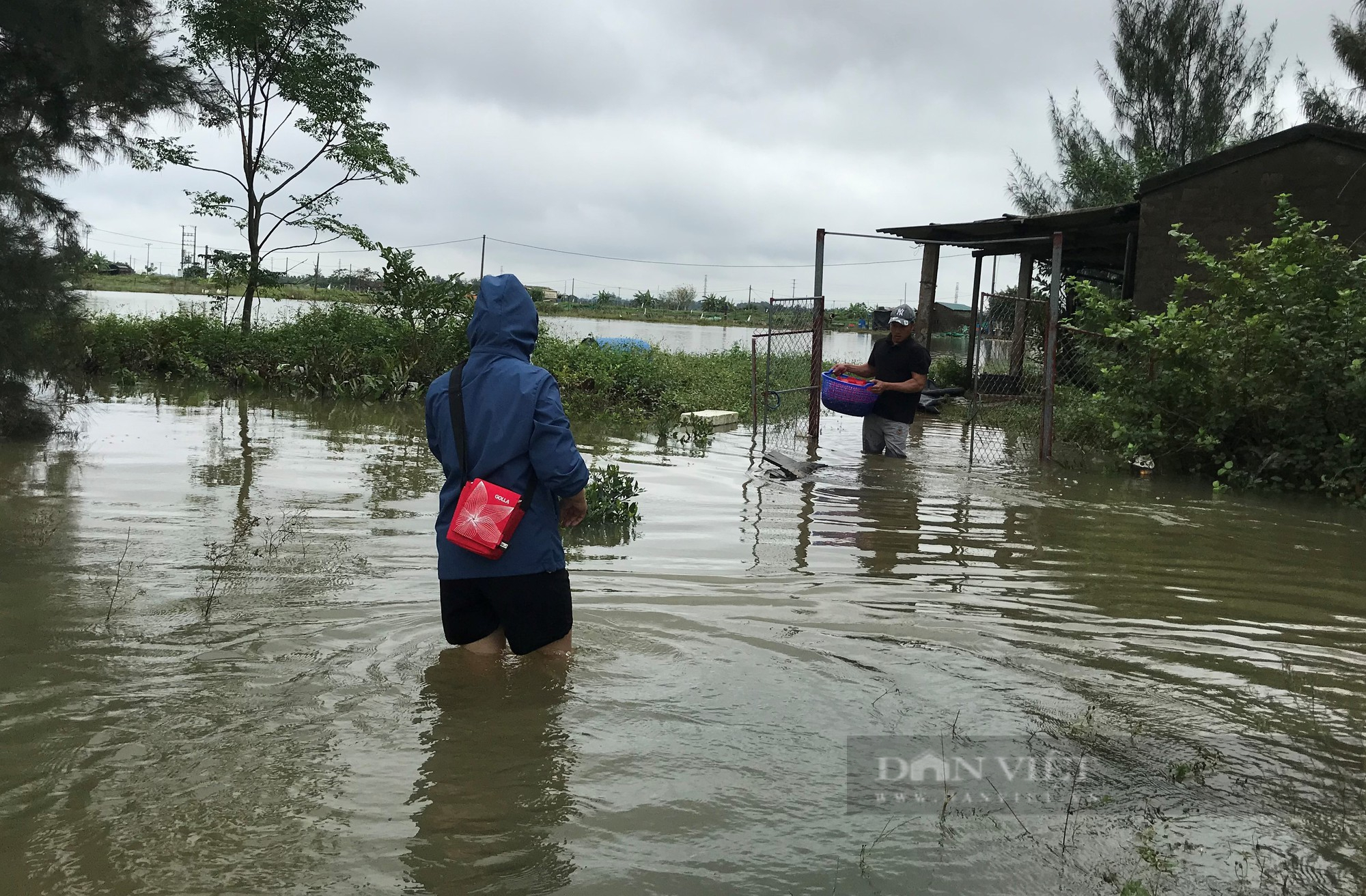 Mưa lớn nước dâng nhanh, nhiều hồ nuôi tôm ở Nghệ An ngập trắng, có nhà mất 500 triệu sau một đêm - Ảnh 5.