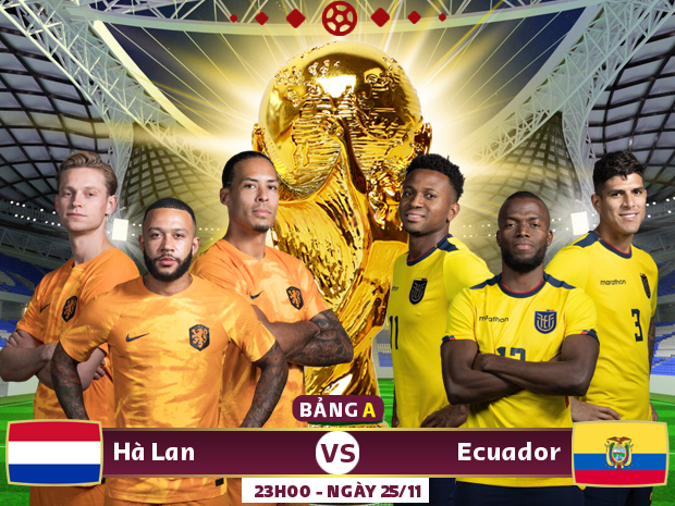 Xem trực tiếp Hà Lan vs Ecuador trên VTV2, VTV Cần Thơ - Ảnh 1.