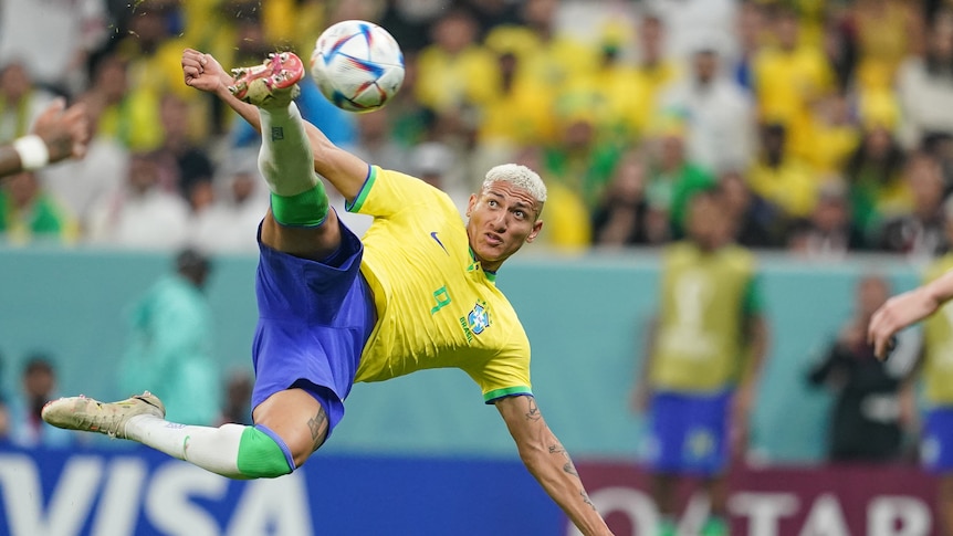 Vì sao đội tuyển Brazil mặc áo vàng, có biệt danh là một loài chim tuyệt đẹp? - Ảnh 1.