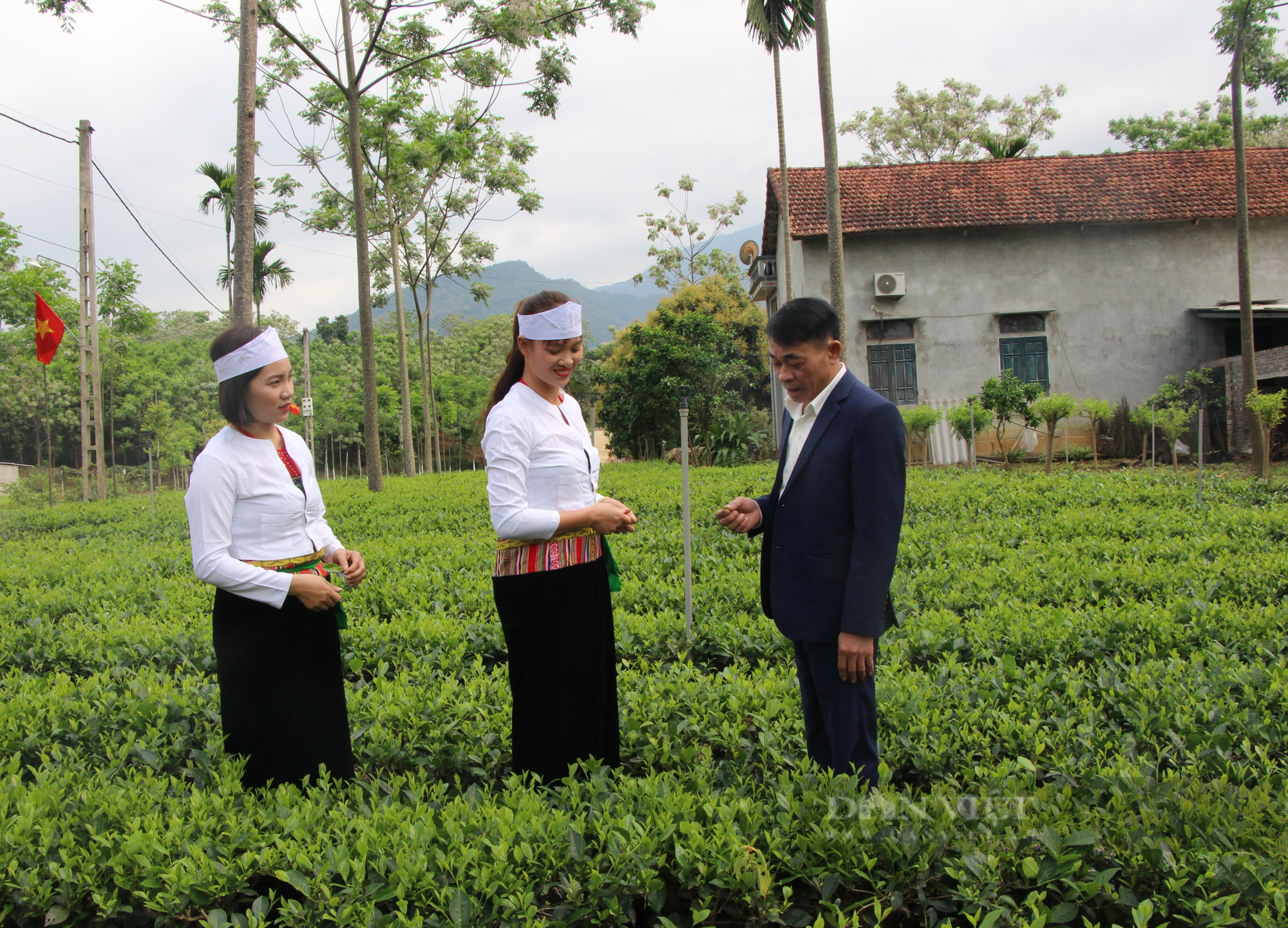 Nông thôn mới Hà Nội, nông dân giàu lên, đặc biệt có 3 huyện không còn hộ nghèo - Ảnh 3.