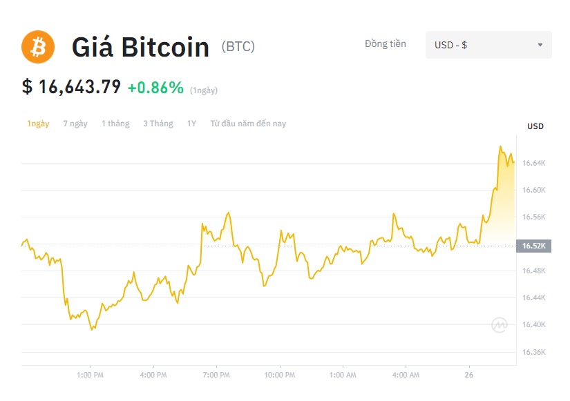 Giá Bitcoin hôm nay 26/11: Giá bitcoin tăng nhẹ, hình thành phân kỳ tăng hàng tuần - Ảnh 1.