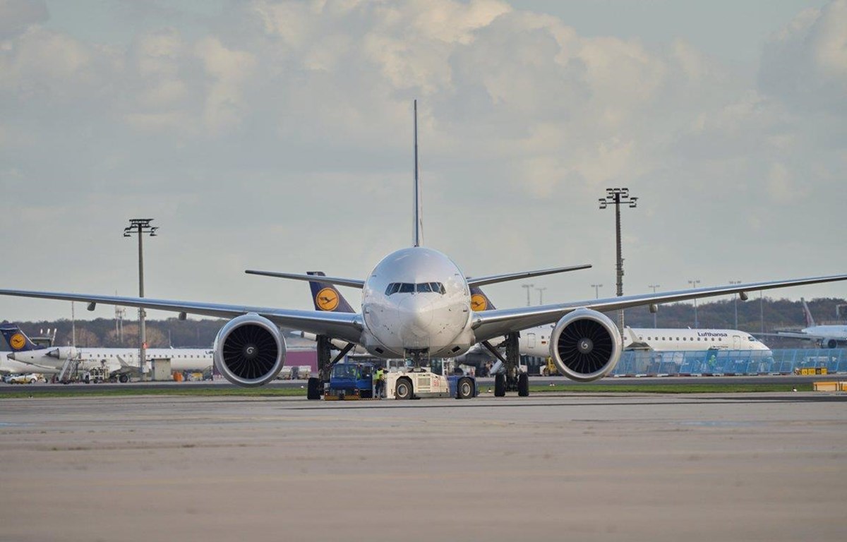 Lufthansa Cargo mở đường bay chở hàng hoá tới Việt Nam - Ảnh 1.