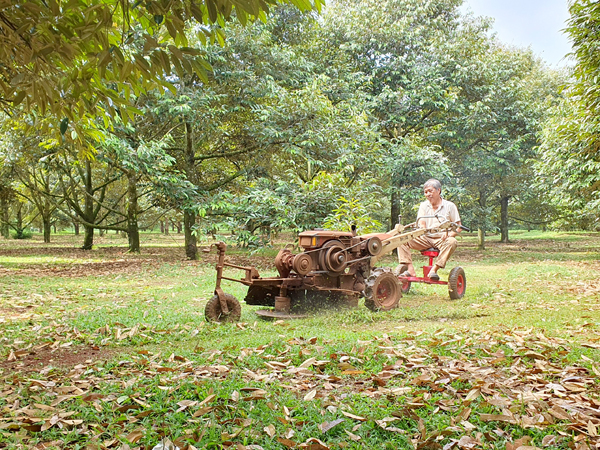 Cả làng phục lăn ông nông dân Đồng Nai sáng chế máy cắt cỏ tự động, loáng cái đã cắt xong cả vườn - Ảnh 1.
