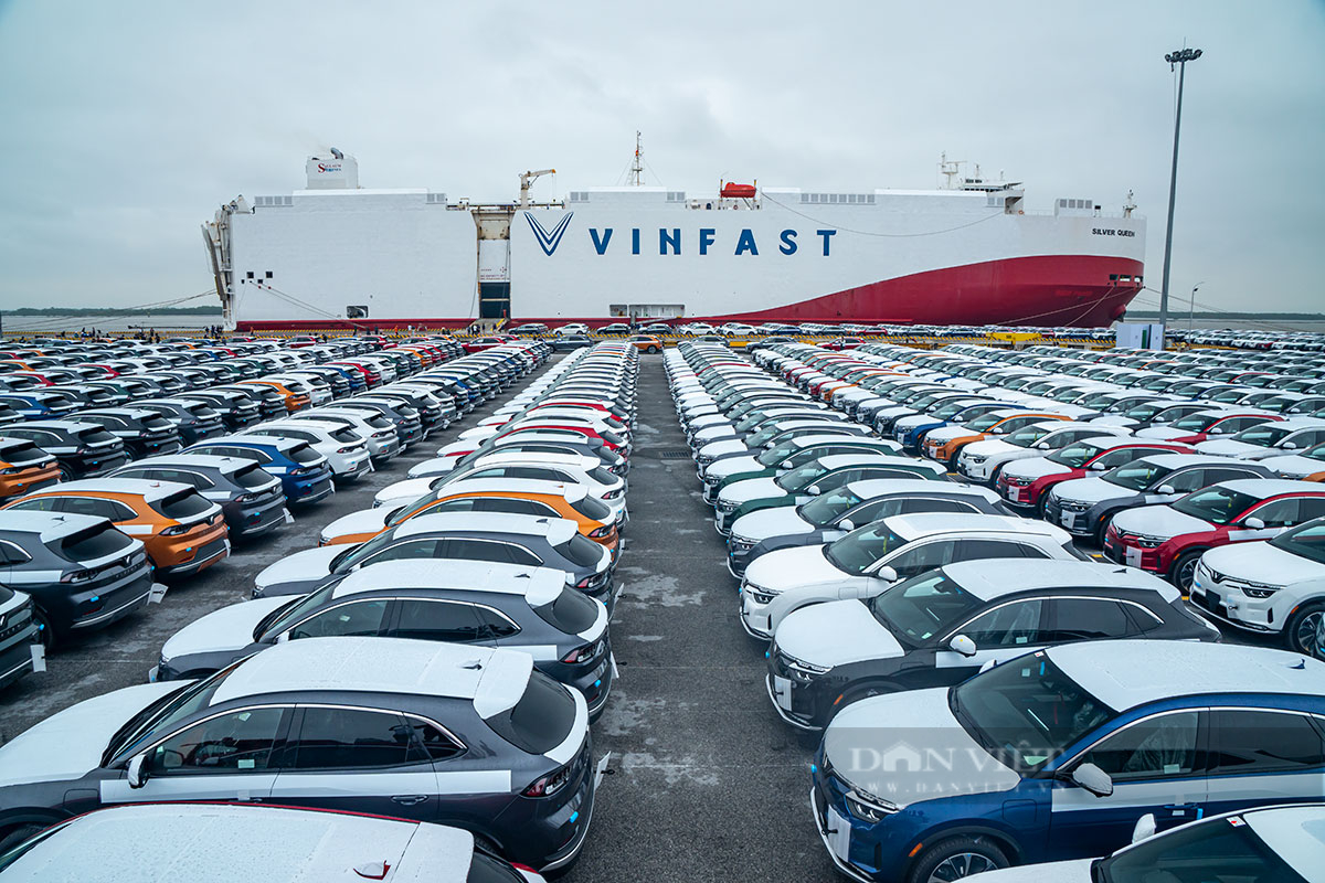 Ngắm trọn bộ ảnh khoảnh khắc lịch sử xe điện VinFast VF 8 chính thức xuất khẩu sang Mỹ - Ảnh 8.