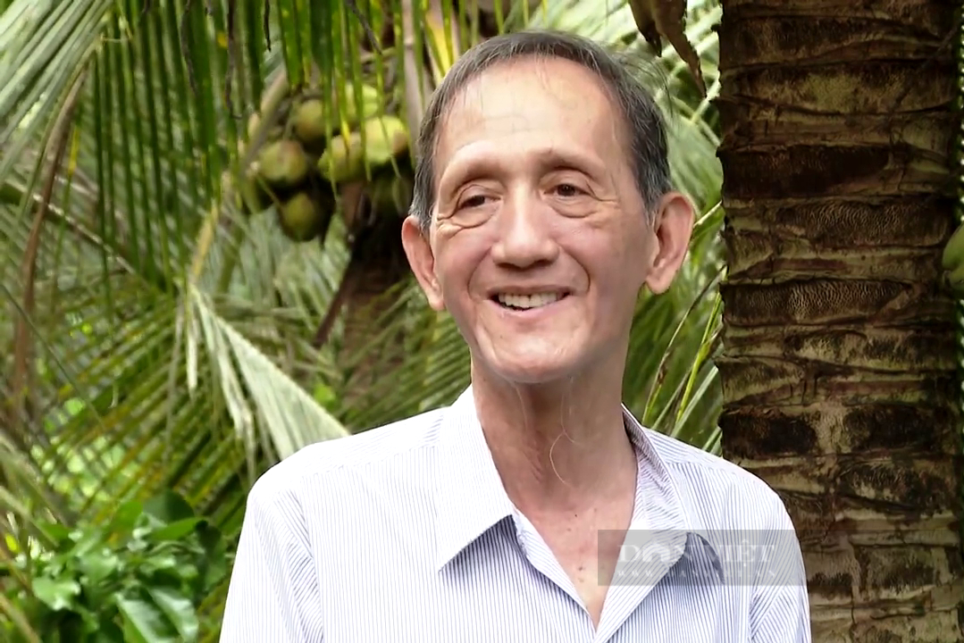 Lão nông U70 ở Tiền Giang bá đạo làm đường trên đọt dừa cho du khách hái trái, thưởng ngoạn - Ảnh 1.