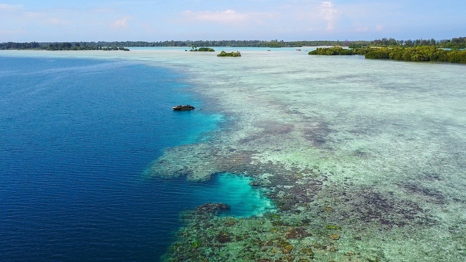 Nhóm đảo rộng 10.000 hec-ta, trải dài 150 km bờ biển ở Indonesia được rao bán - Ảnh 7.