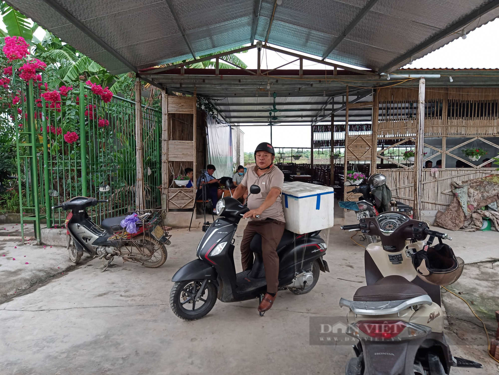 Nông dân An Thanh, Tứ Kỳ háo hức vào vụ thu hoạch &quot;lộc trời&quot;, &quot;rồng đất&quot;, thương lái trực sẵn hốt sạch - Ảnh 3.