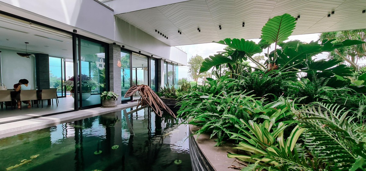 Căn biệt thự thiết kế đặc biệt hình con chuồn chuồn nước ở Đà Nẵng - Ảnh 22.