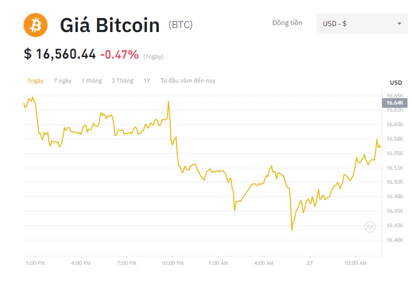 Giá Bitcoin hôm nay 27/11: Thị trường tiền ảo mất giá, chuyên gia cảnh báo thị trường &quot;bàn tay gấu&quot; - Ảnh 1.