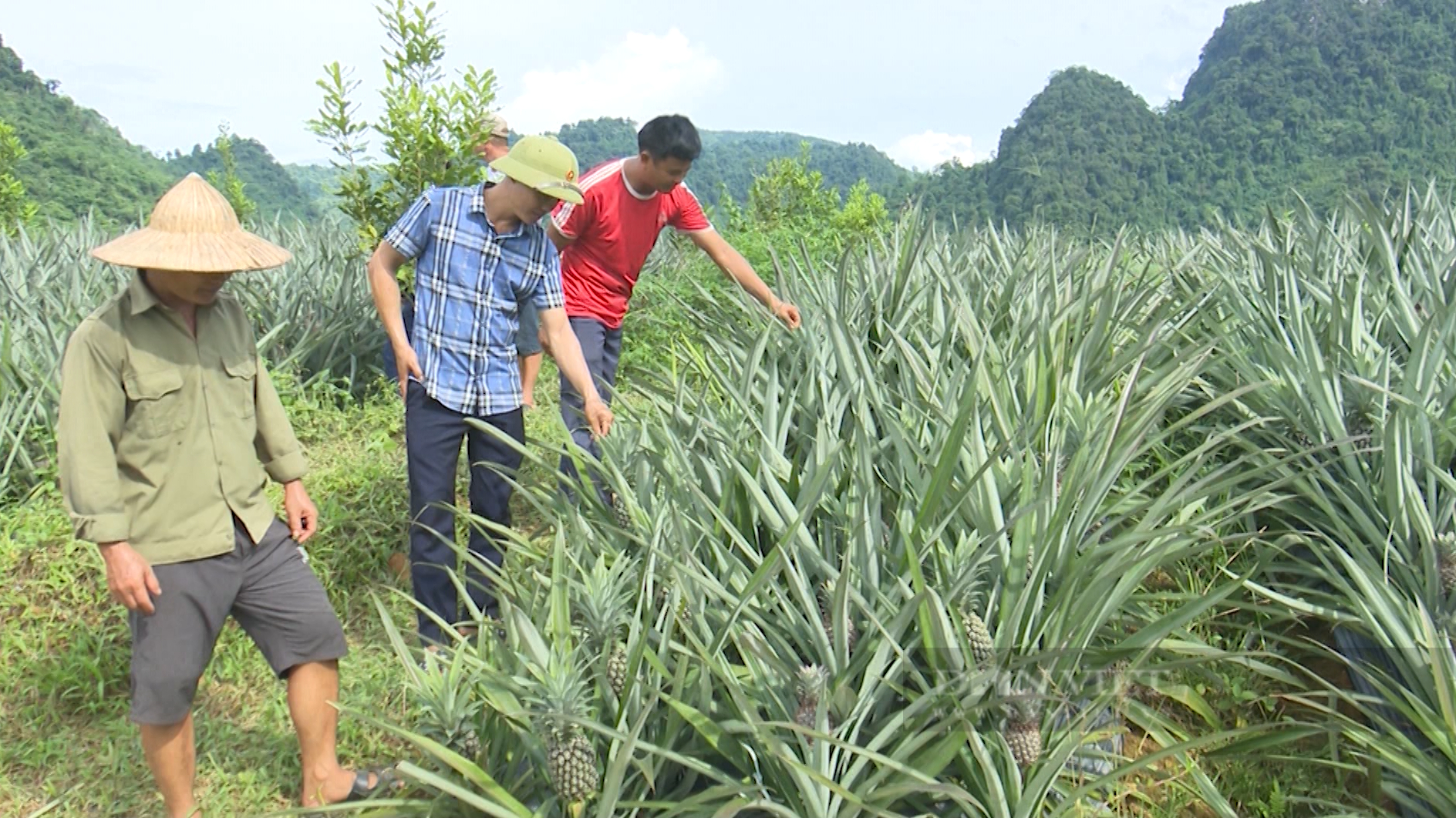 Lai Châu: Bản làng sạch đẹp, đời sống người dân khấm khá từ xây dựng NTM - Ảnh 4.