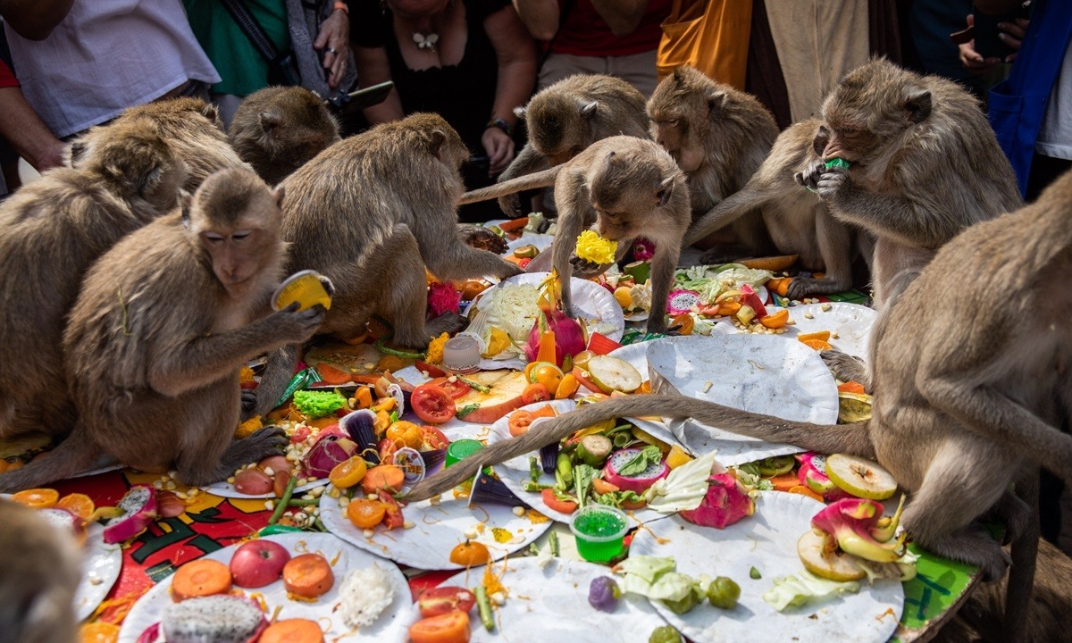 Thái Lan tổ chức đại tiệc cho gần 4.000 con khỉ để bày tỏ lòng biết ơn - Ảnh 4.