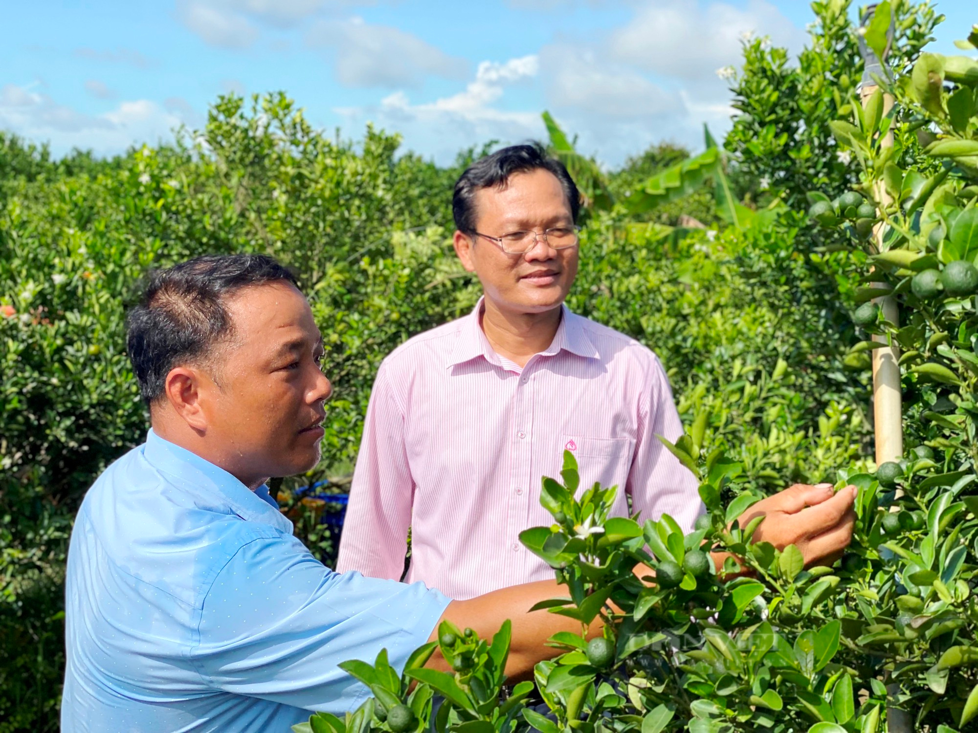 Tiên phong trồng loại cây vừa hái trái bán vừa làm kiểng chơi, anh nông dân vùng biên làm giàu ngoạn mục  - Ảnh 2.