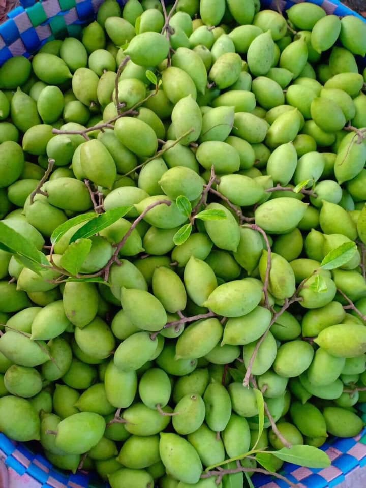 Mùa nước tràn đồng, đưa sản vật cá sông, rau đồng, trái cà na dại từ An Giang lên Sài Gòn - Ảnh 5.