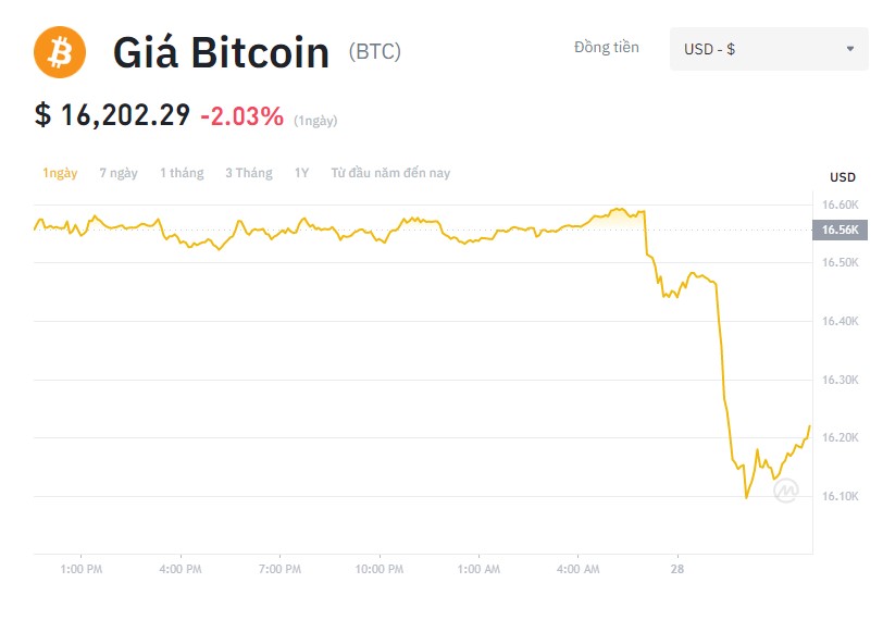 Giá Bitcoin hôm nay 28/11: Bitcoin lao dốc, thị trường tiền ảo lại đỏ rực phiên đầu tuần - Ảnh 1.