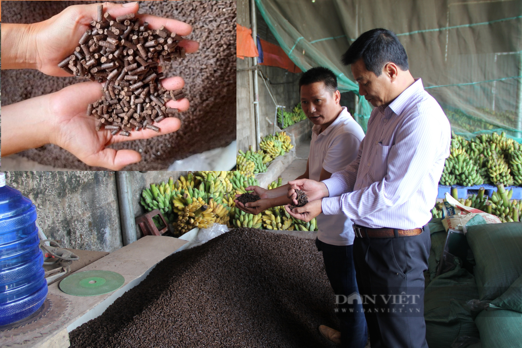 Làm giàu nhờ khoa học công nghệ - Ảnh 5.