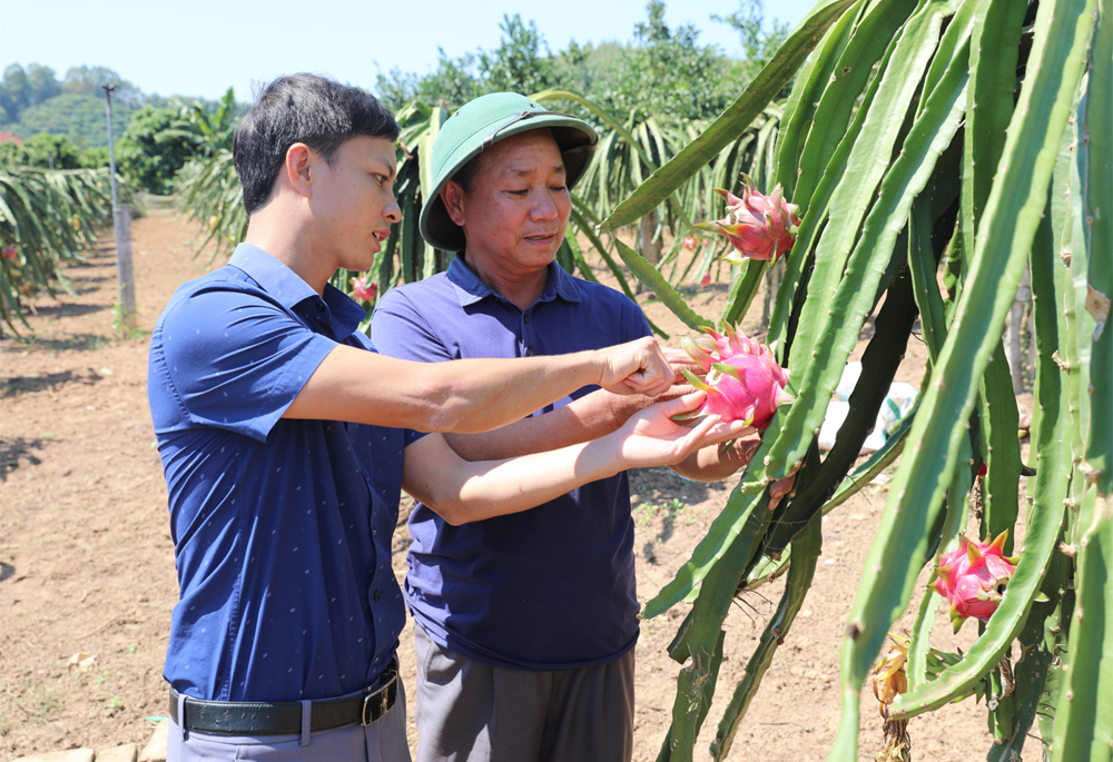 Lục Nam (Bắc Giang): Giàu đẹp từng ngày - Ảnh 1.