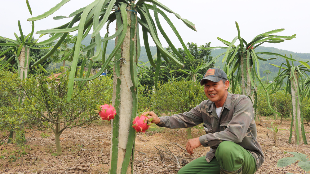 Lục Nam (Bắc Giang): Giàu đẹp từng ngày - Ảnh 2.