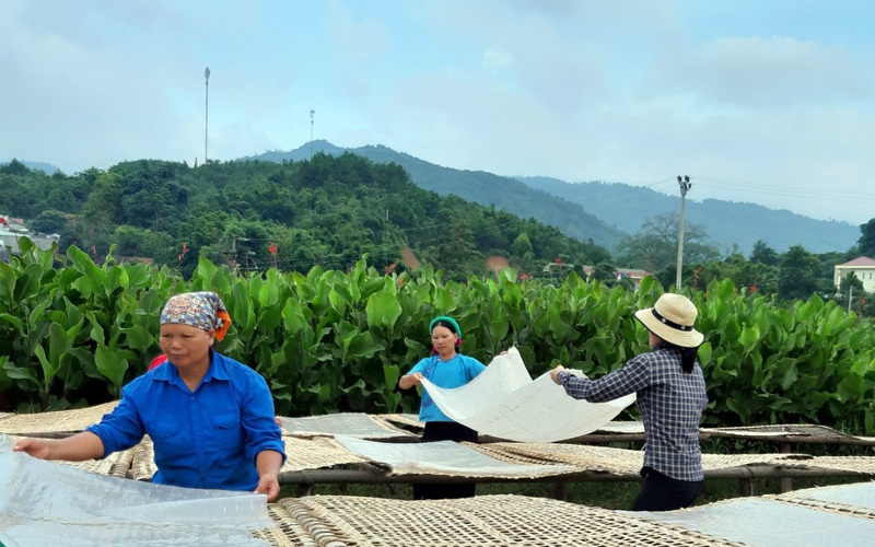 Xây dựng nông thôn mới ở Quảng Ninh, tạo sinh kế và nâng cao thu nhập cho nông dân  - Ảnh 3.