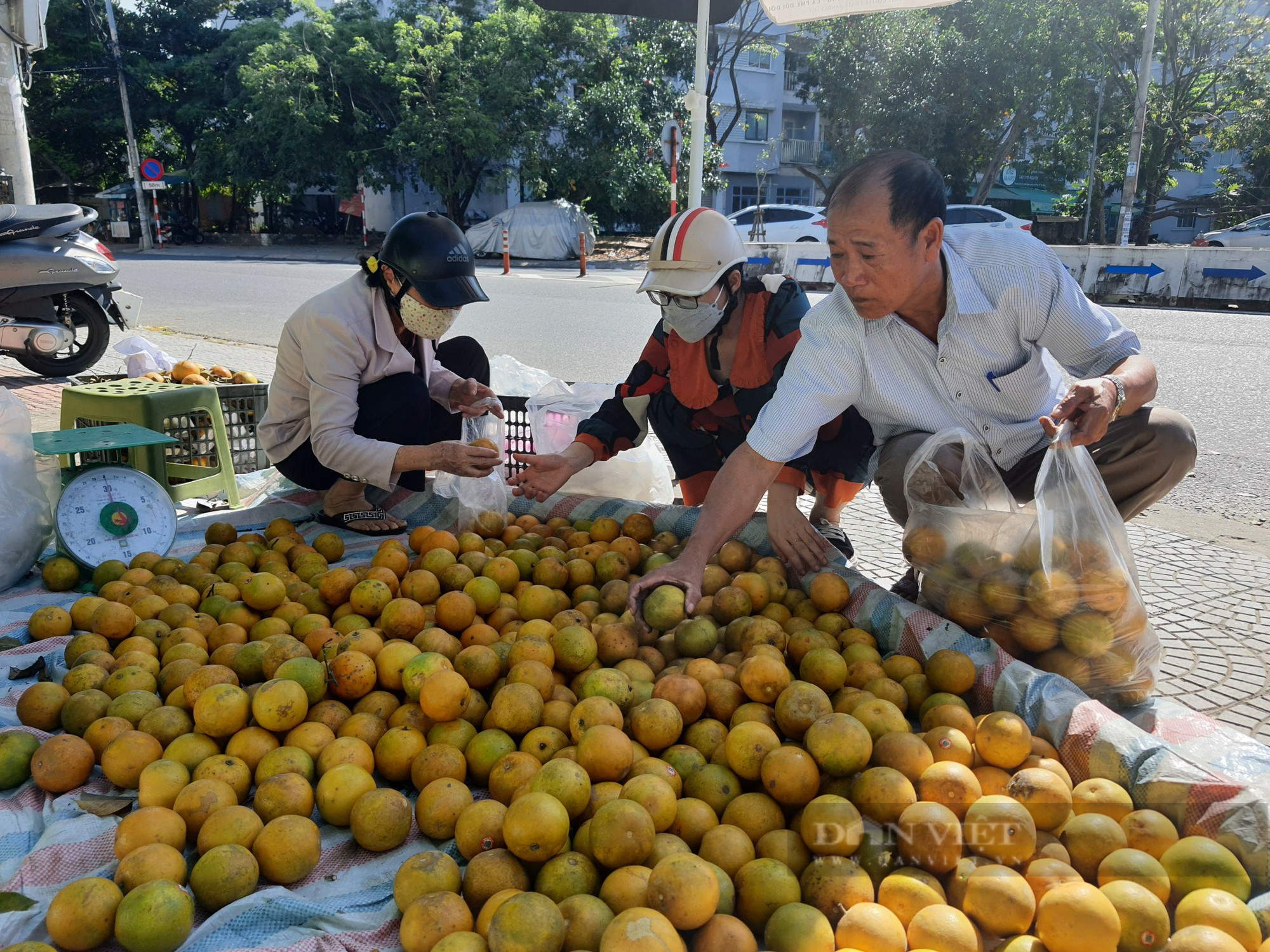 Hội Nông dân Đà Nẵng kết nối tiêu thụ sản phẩm cam vàng giúp nông dân Hà Giang - Ảnh 1.