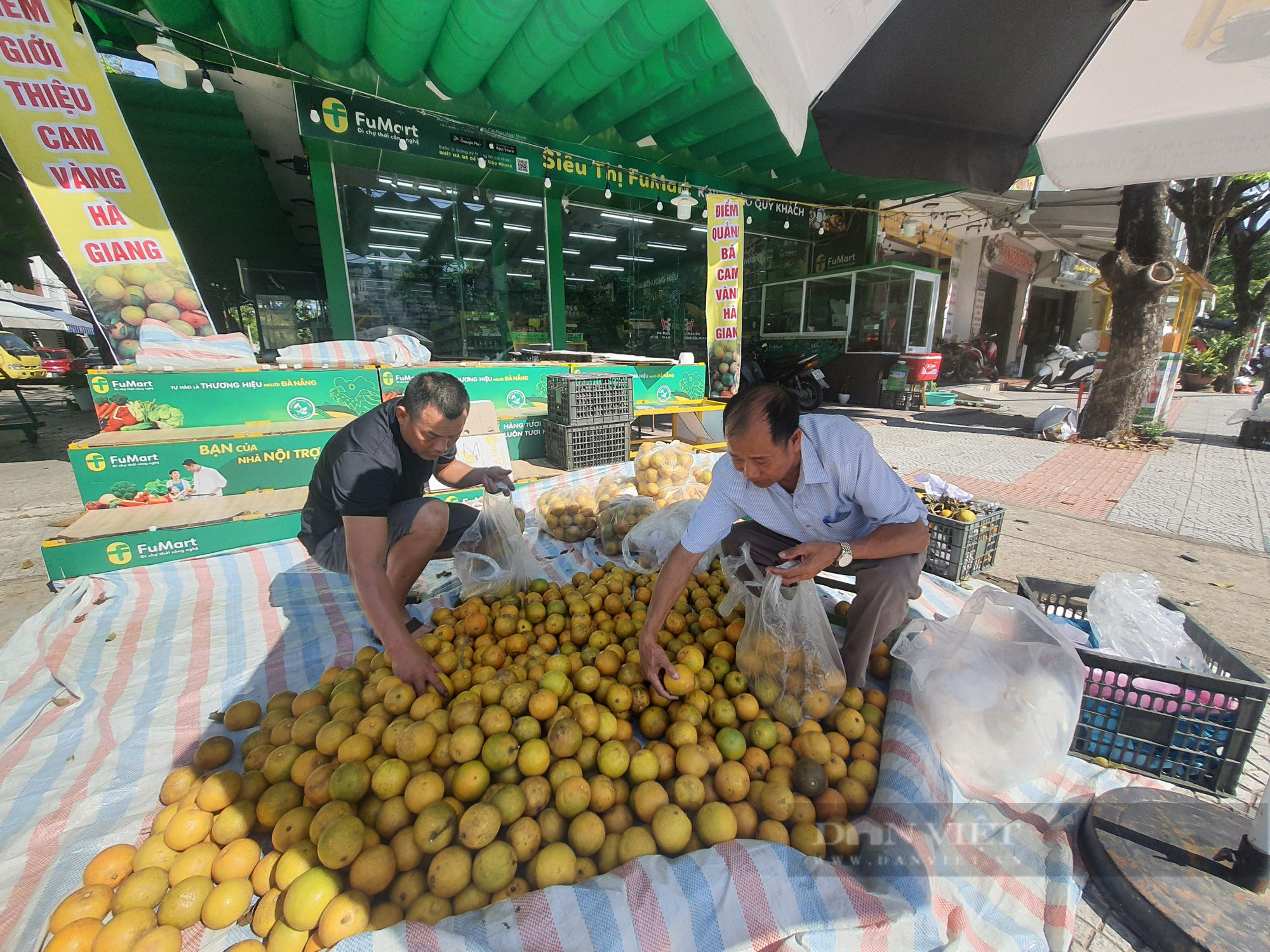 Hội Nông dân Đà Nẵng kết nối tiêu thụ sản phẩm cam vàng giúp nông dân Hà Giang - Ảnh 4.