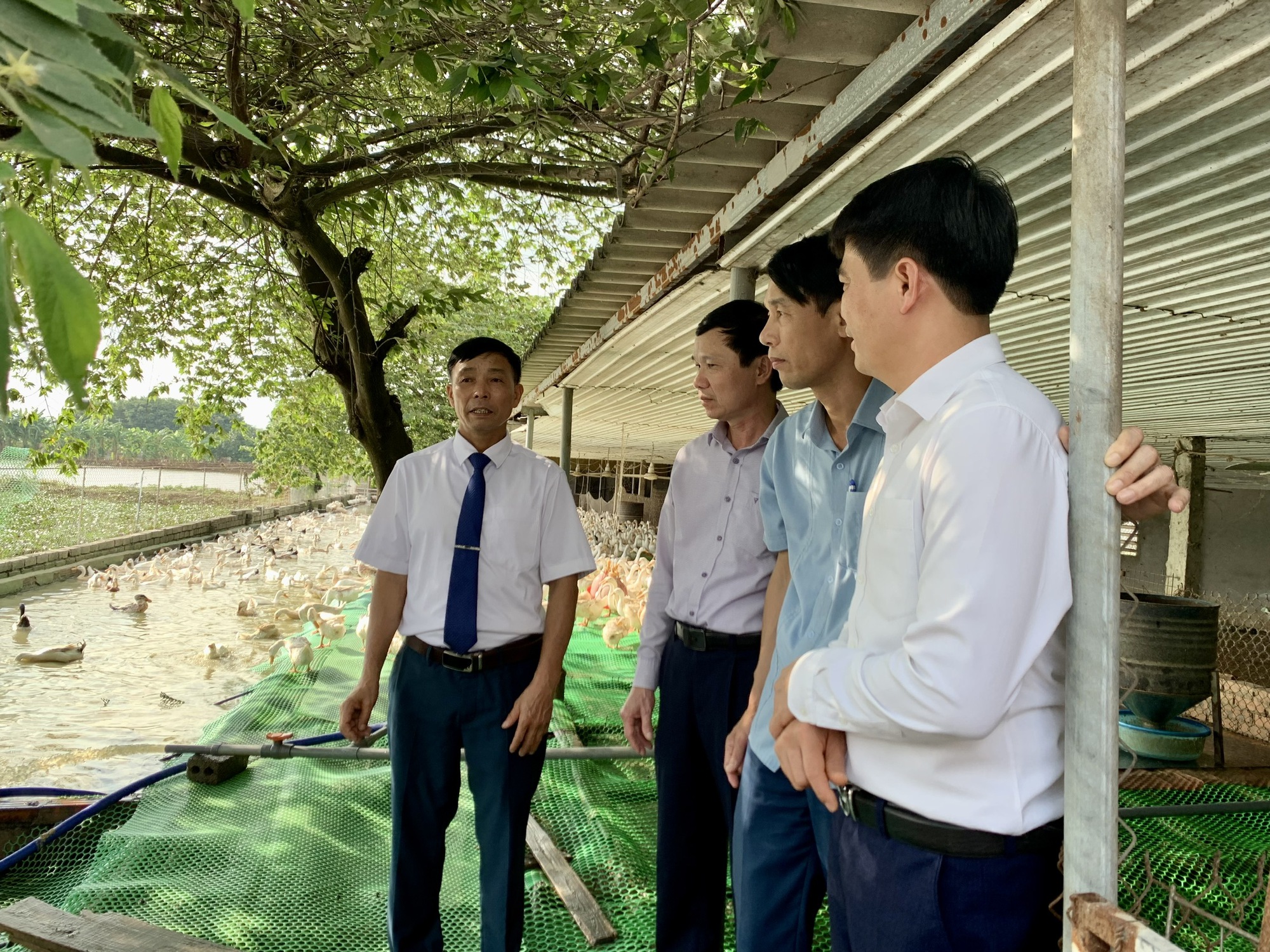 Phó Chủ tịch Thường trực Hội NDVN Phạm Tiến Nam thăm mô hình nuôi vịt của tỷ phú nông dân ở Bắc Giang - Ảnh 2.