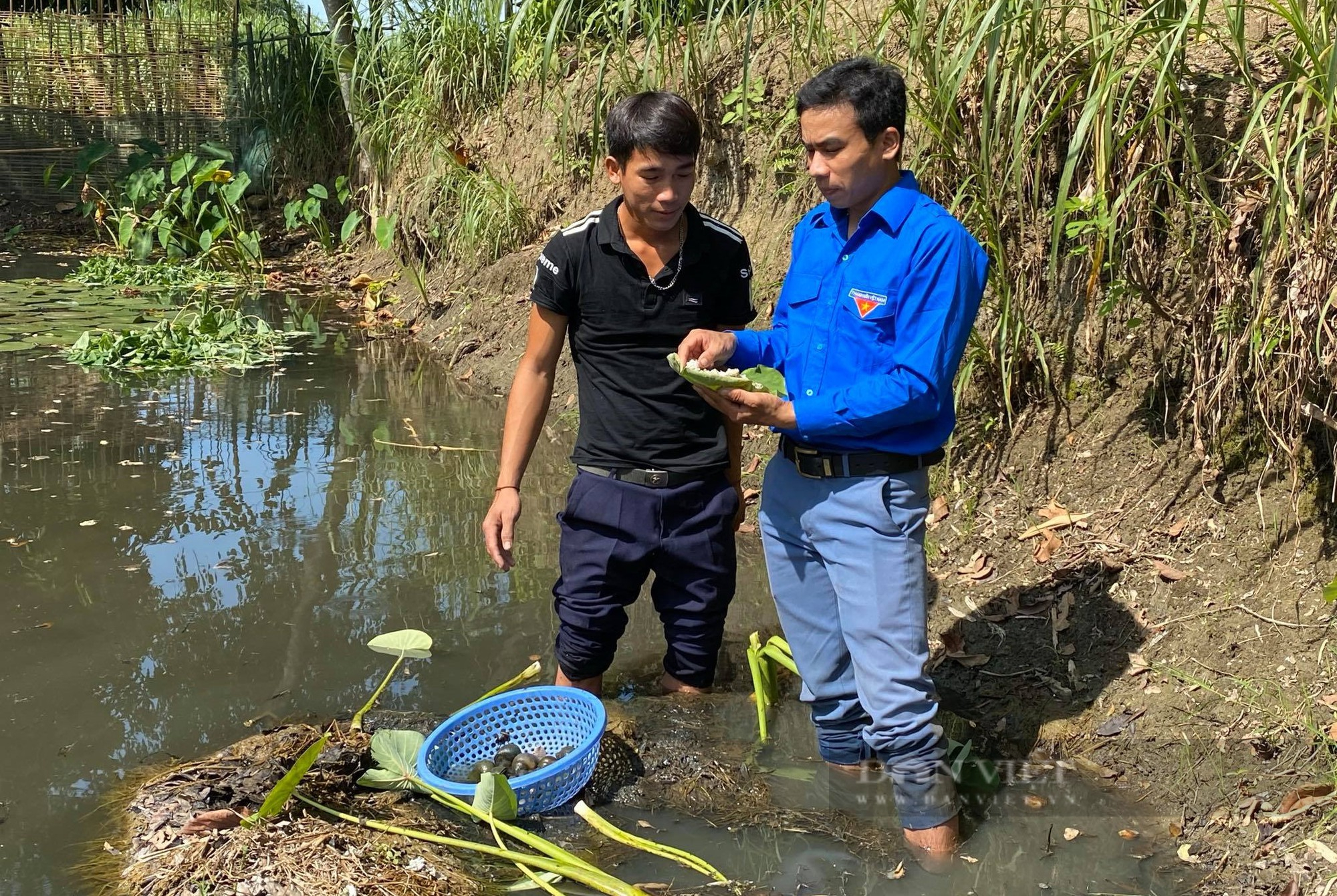 Anh Duy Luých ở Nghệ An biến những ao sình thành nơi hái ra tiền, giúp cả xóm có việc làm - Ảnh 1.