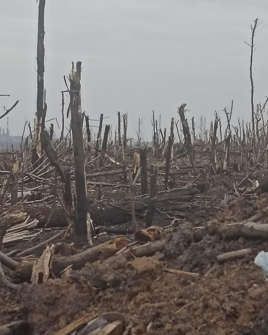 Chiến sự Donbass: Trận chiến đẫm máu giành Bakhmut đẩy những người lính Ukraine vào cảnh 'địa ngục' trần gian - Ảnh 1.