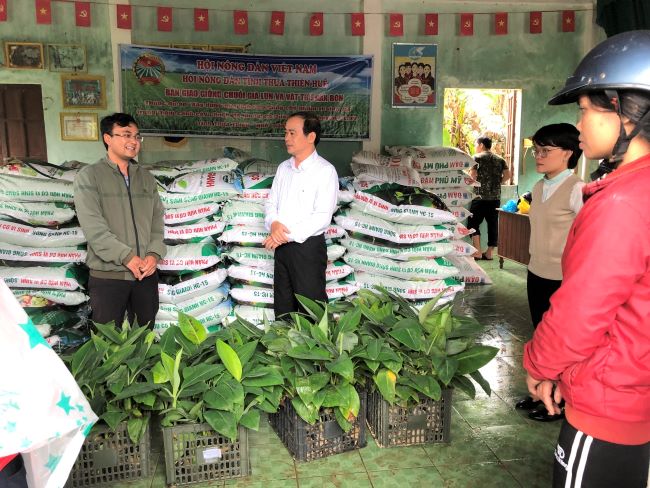 Nông dân thâm canh chuối lùn ở TT-Huế được hỗ trợ hàng trăm triệu đồng - Ảnh 1.