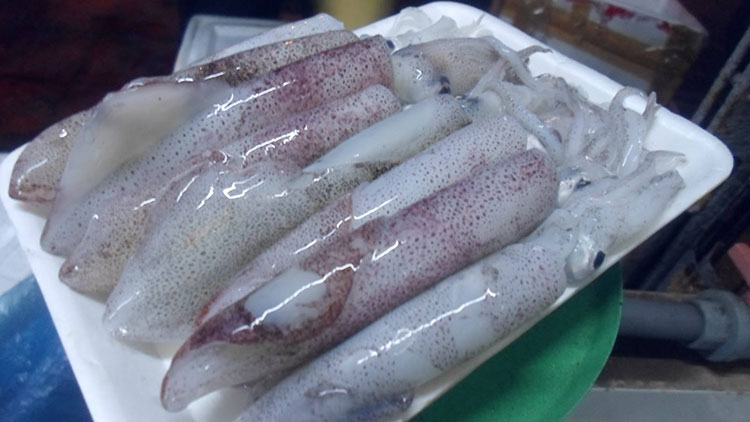 4 loài thủy sản nào phải khai báo khai thác khi xuất khẩu vào Nhật Bản từ 1/12/2022 - Ảnh 1.