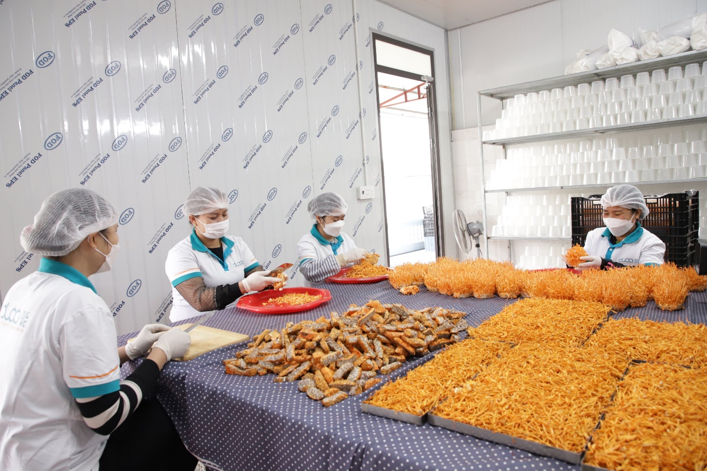 Phát triển cơ giới hóa nông nghiệp và chế biến nông, lâm, thủy sản là chiến lược phát triển của ngành nông nghiệp Bắc Giang - Ảnh 1.