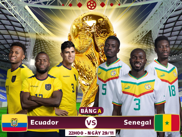 Xem trực tiếp Ecuador vs Senegal trên VTV5 - Ảnh 1.