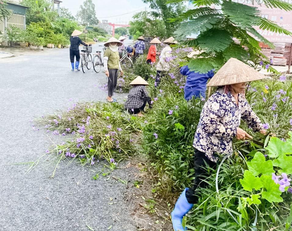 Nông thôn mới của xã Quỳnh Bảo ở Thái Bình dân cùng nhau làm sạch làng xóm, cứ 7 nhà có 1 thùng rác - Ảnh 1.