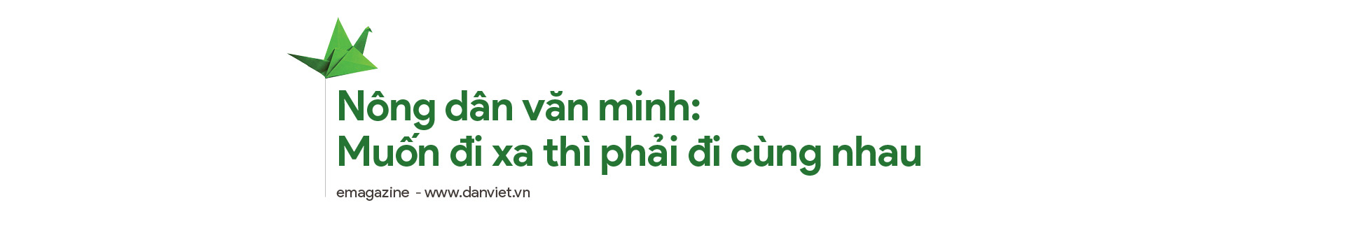 Những người nông dân văn minh: Thành công từ ngã rẽ bất ngờ (bài 1) - Ảnh 1.