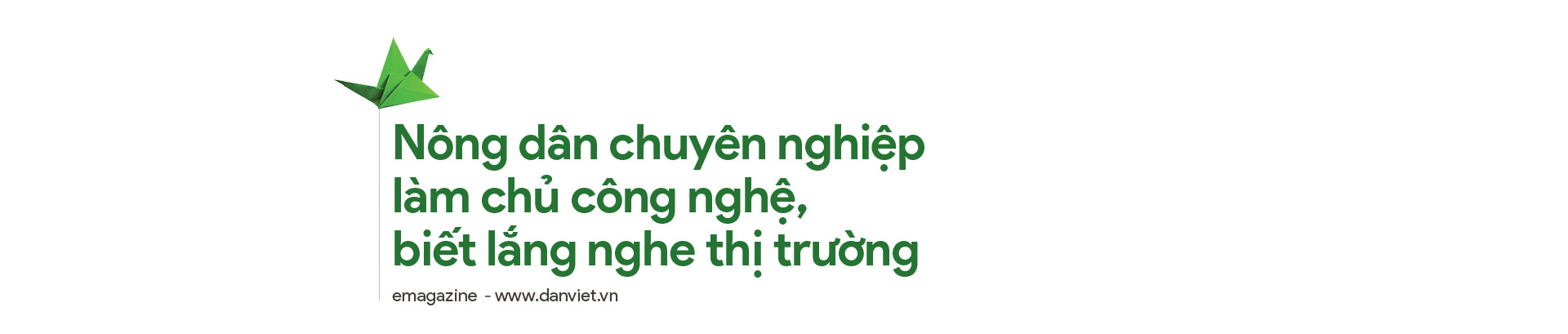 Những người nông dân văn minh: Thành công từ ngã rẽ bất ngờ (bài 1) - Ảnh 2.