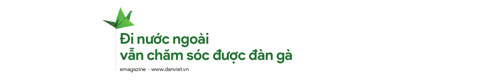 Những người nông dân văn minh: Đi Canada vẫn chăm sóc đàn gà, trồng đông trùng hạ thảo (bài 2) - Ảnh 1.