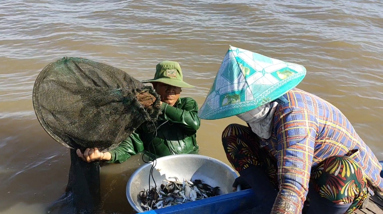 Lũ tràn đồng là thời điểm dân vùng nước nổi đầu nguồn An Giang đi bắt cá đồng, xúc lươn - Ảnh 4.