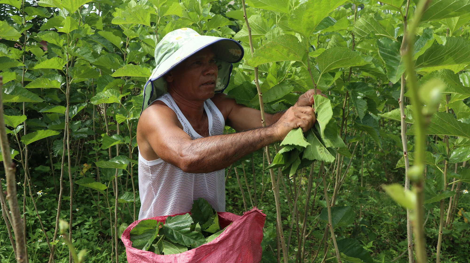 Đào tạo nghề cho lao động nông thôn ở Lâm Đồng: Việc làm vừa cấp bách vừa lâu dài - Ảnh 3.