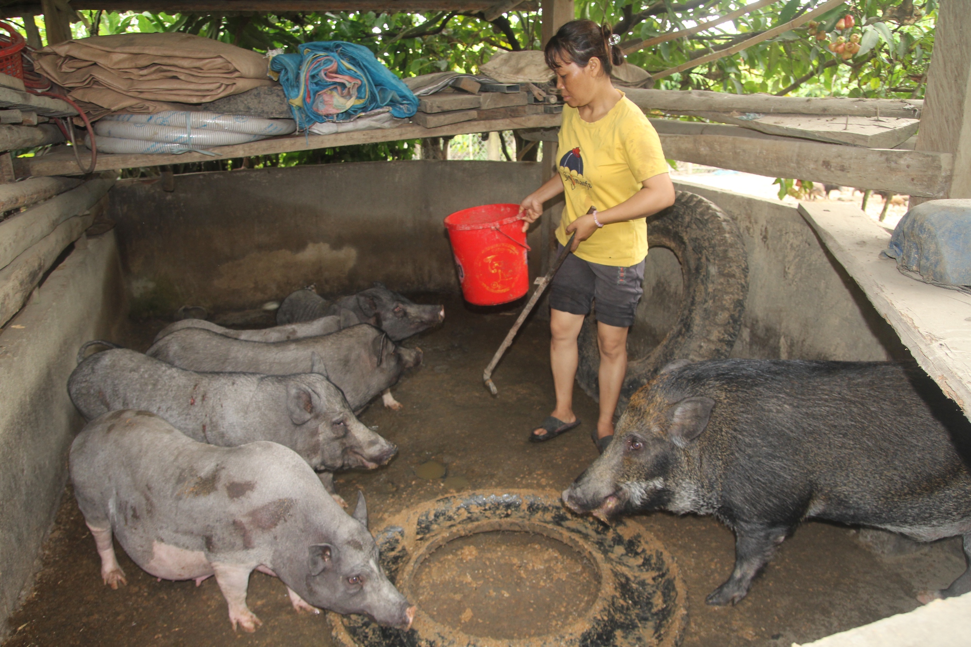 Đào tạo nghề cho lao động nông thôn ở Lâm Đồng: Việc làm vừa cấp bách vừa lâu dài - Ảnh 6.