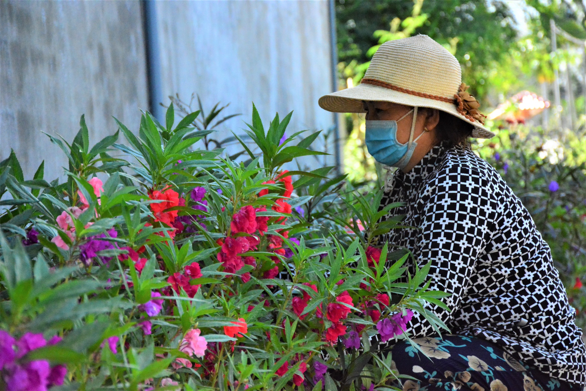 Đường hoa nông thôn mới ở Sơn Tịnh của Quảng Ngãi, làng xóm sạch, ai đi qua cũng muốn chụp hình, quay phim - Ảnh 3.