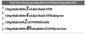 Hậu Giang xây dựng nền nông nghiệp có giá trị gia tăng cao gắn với NTM - Ảnh 3.