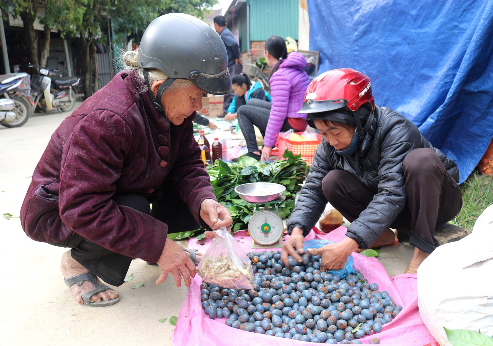 Kể chuyện làng: Mùa cọ quê tôi - Ảnh 5.