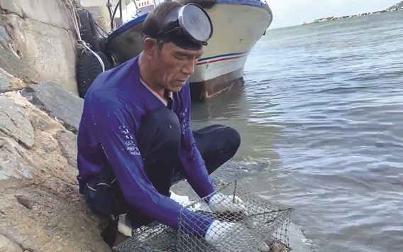 Loài cá kỳ lạ rất khó săn bắt ở biển Cà Mau-Kiên Giang, trúng mánh có khi kiếm tiền triệu mỗi ngày