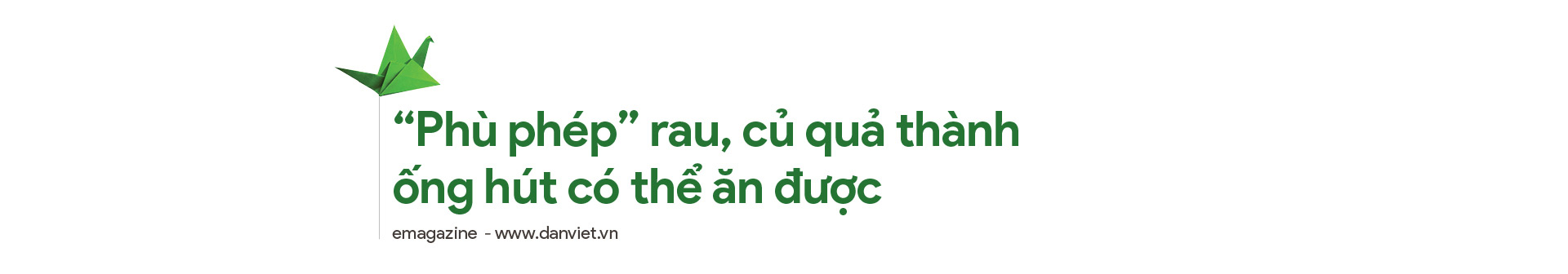 Những người nông dân văn minh: Chủ động tìm kiếm thị trường, nông dân thu tiền tỷ từ nuôi gà, trồng bưởi (bài 3) - Ảnh 5.