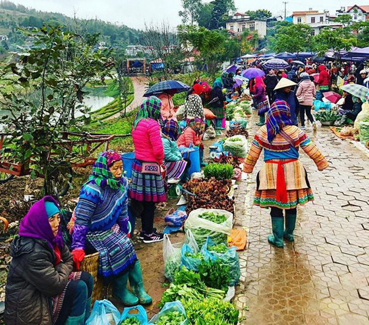 Loại rau dại bất ngờ có giá cao, được lùng mua vì vừa ngon vừa chữa được nhiều bệnh - Ảnh 6.