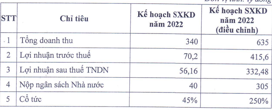 ĐHĐCĐ bất thường Dầu khí Idico (ICN): Điều chỉnh kế hoạch 2022 tăng gấp 6 lần lên hơn 330 tỷ, cổ tức chia 250% - Ảnh 1.