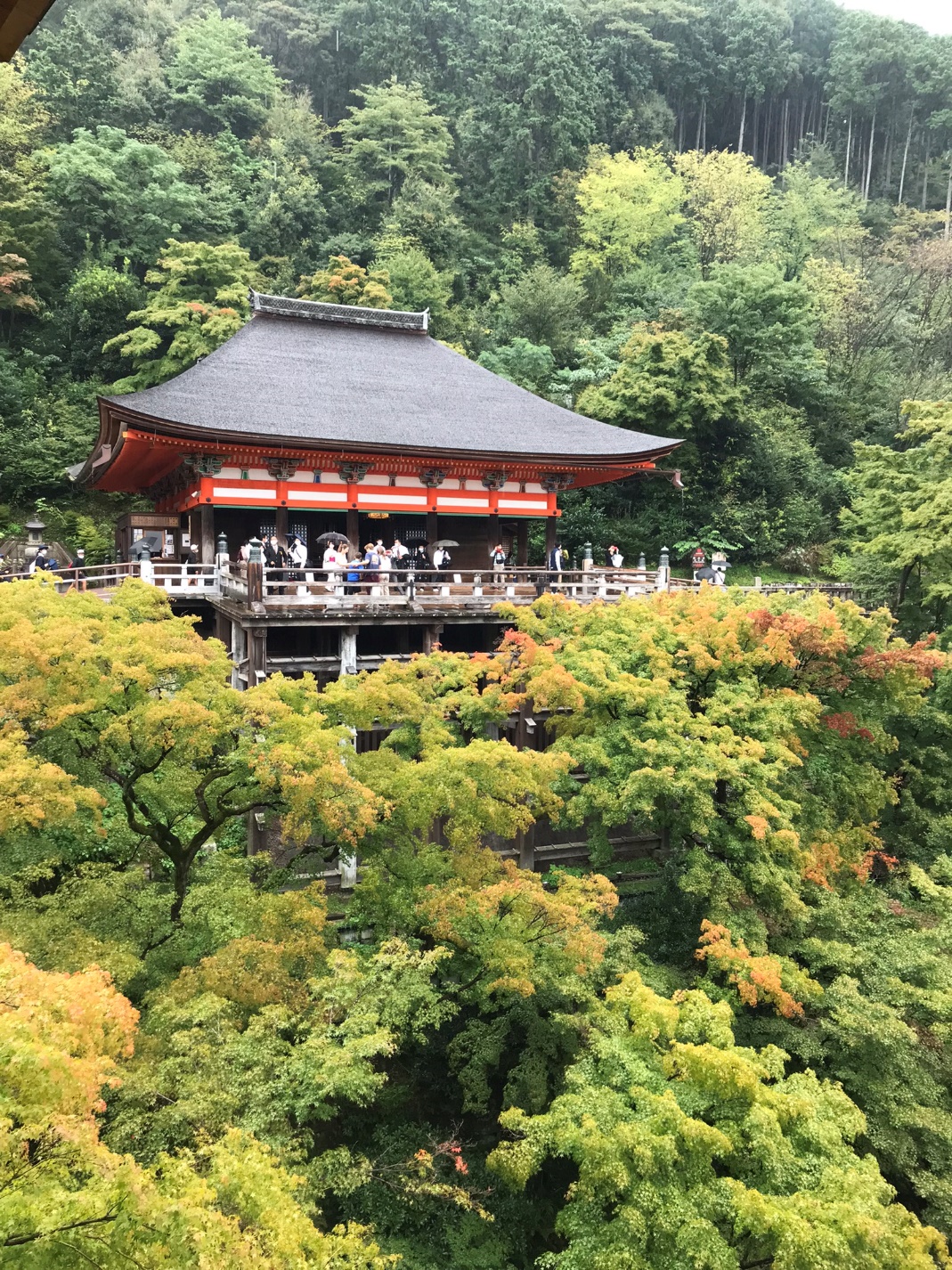 Mùa thu với món lẩu Sumo ở cố đô Kyoto - Ảnh 1.