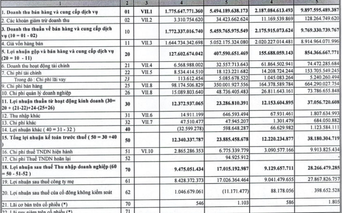 Vimedimex (VMD) lãi 9 tháng lao dốc 40% xuống 17 tỷ đồng - Ảnh 1.