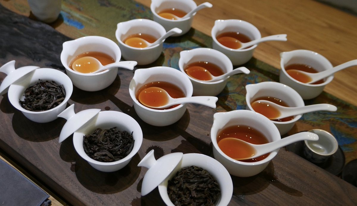 Loại trà quý hiếm của Trung Quốc, chuyên dùng để tiếp các nguyên thủ quốc gia, giá hàng chục tỷ đồng/cân - Ảnh 1.