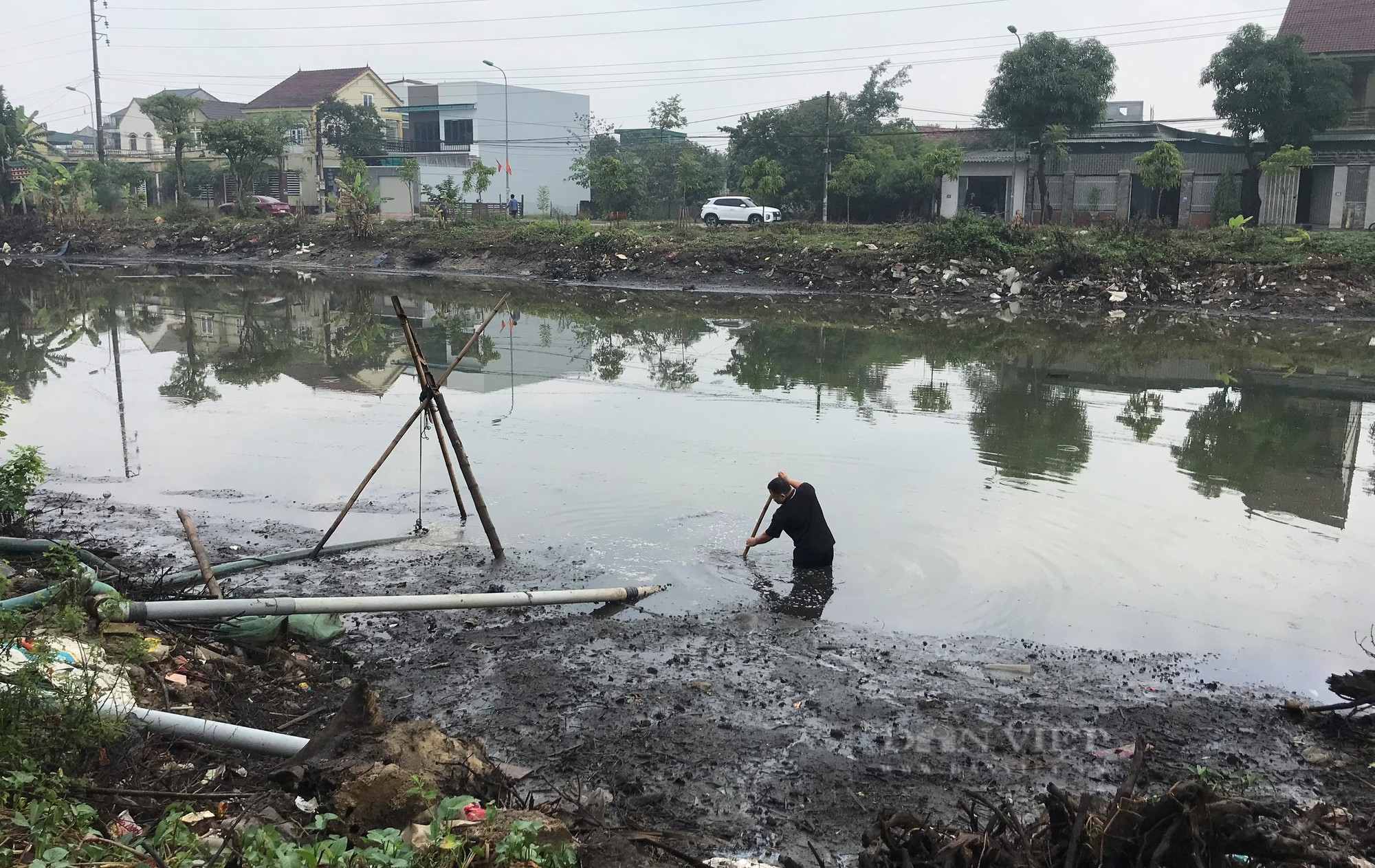 Mang 3 máy bơm hút cạn ao quanh năm phủ kín lục bình săn &quot;thủy quái&quot; ngay giữa lòng thành phố - Ảnh 1.